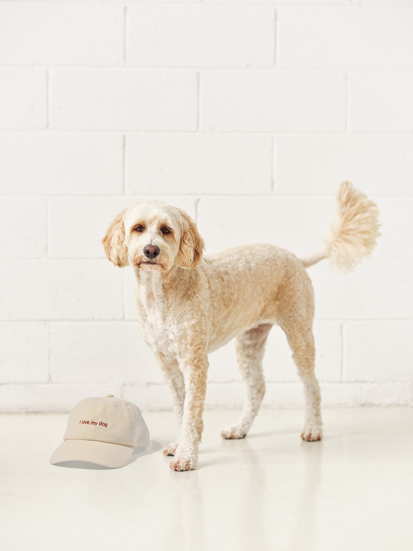 i love my dog - cream