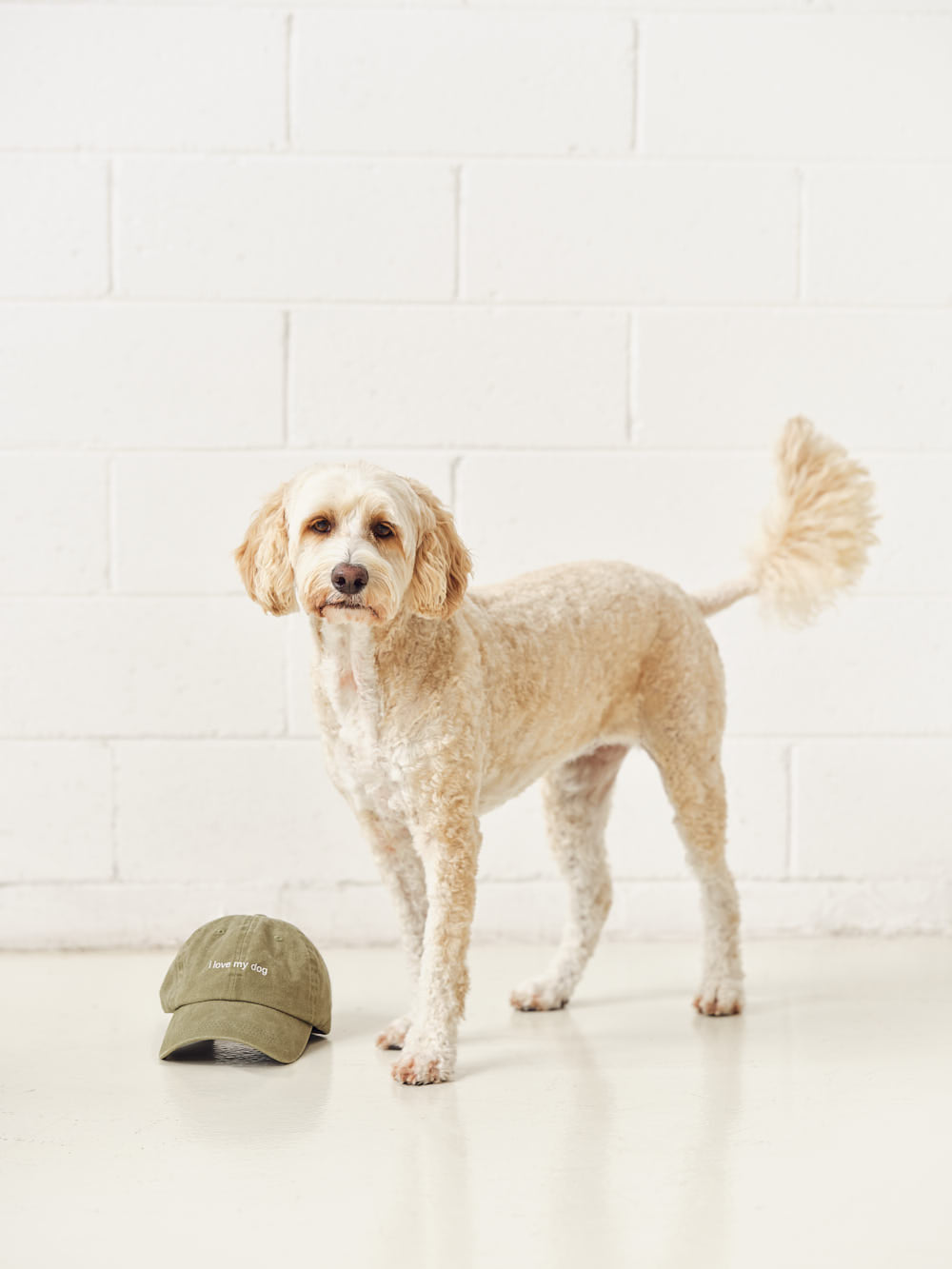 i love my dog - moss green hat